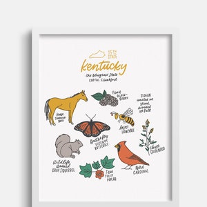 Kentucky State Symbols Illustration Print