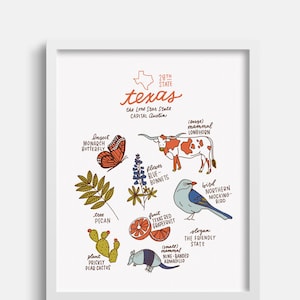 Texas State Symbols Illustration Print