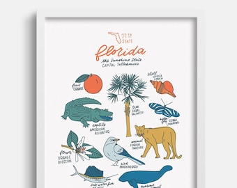 Florida State Symbols Illustration Print