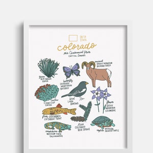 Colorado State Symbols Illustration Print