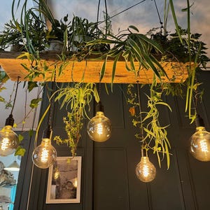 May include: A rustic wooden shelf with hanging light bulbs and greenery. The shelf is suspended from the ceiling and features five light bulbs with warm, white light. The greenery is a mix of ferns, ivy, and other plants, creating a natural and inviting atmosphere.