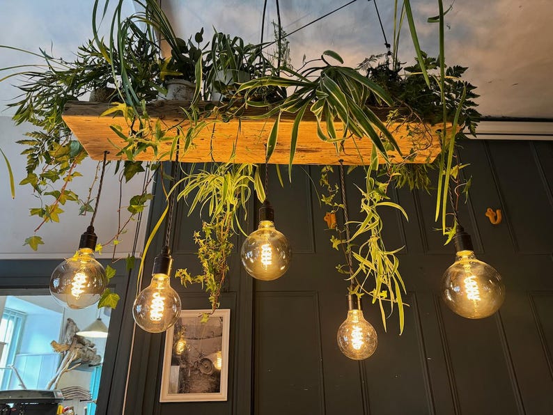 May include: A rustic wooden shelf with hanging light bulbs and greenery. The shelf is suspended from the ceiling and features five light bulbs with warm, white light. The greenery is a mix of ferns, ivy, and other plants, creating a natural and inviting atmosphere.