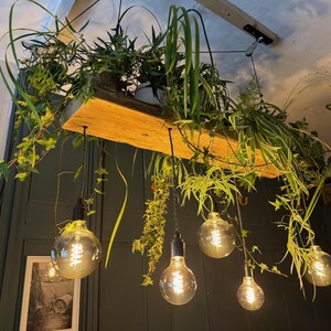 May include: A rustic wooden shelf with hanging light bulbs, surrounded by lush green plants. The light bulbs are turned on and emit a warm glow.