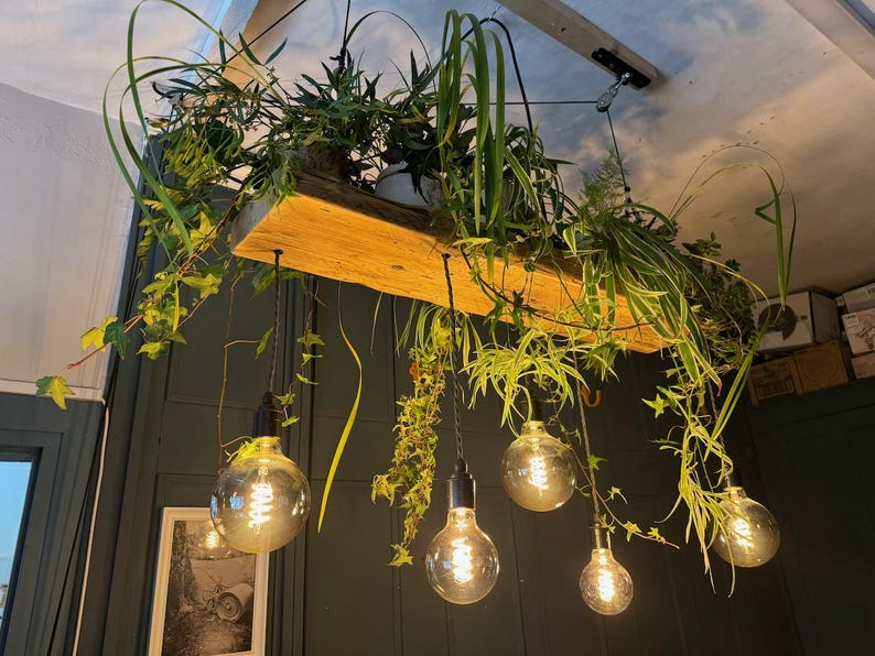 May include: A rustic wooden shelf with hanging light bulbs, surrounded by lush green plants. The light bulbs are turned on and emit a warm glow.