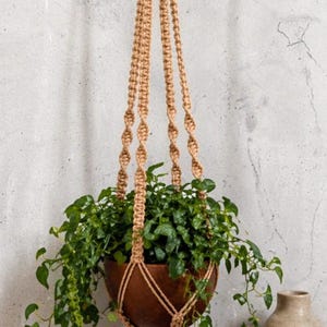 以下が含まれることがあります： 緑の植物が入った茶色の木製ボウルが付いた、吊り下げ式のマクラメプラントホルダー。 マクラメはベージュ色のロープでできており、木製のリングから吊り下げられています。 植物の葉が下方に流れ落ちています。