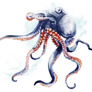 Octopus watercolour Painting Giclée print wall art nautical watercolor print fish coastal decor personalised gift beach house Leona Beth Art