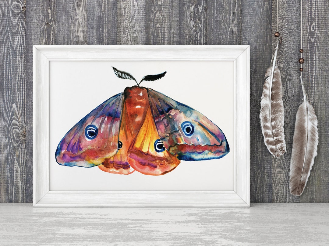 Emperor Moth Watercolour Painting Giclee Print Canvas Wall Art Boho ...
