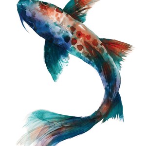 May include: A watercolor painting of a blue and red koi fish with a teal tail, swimming upwards. The fish has a spotted pattern and is painted in a realistic style.