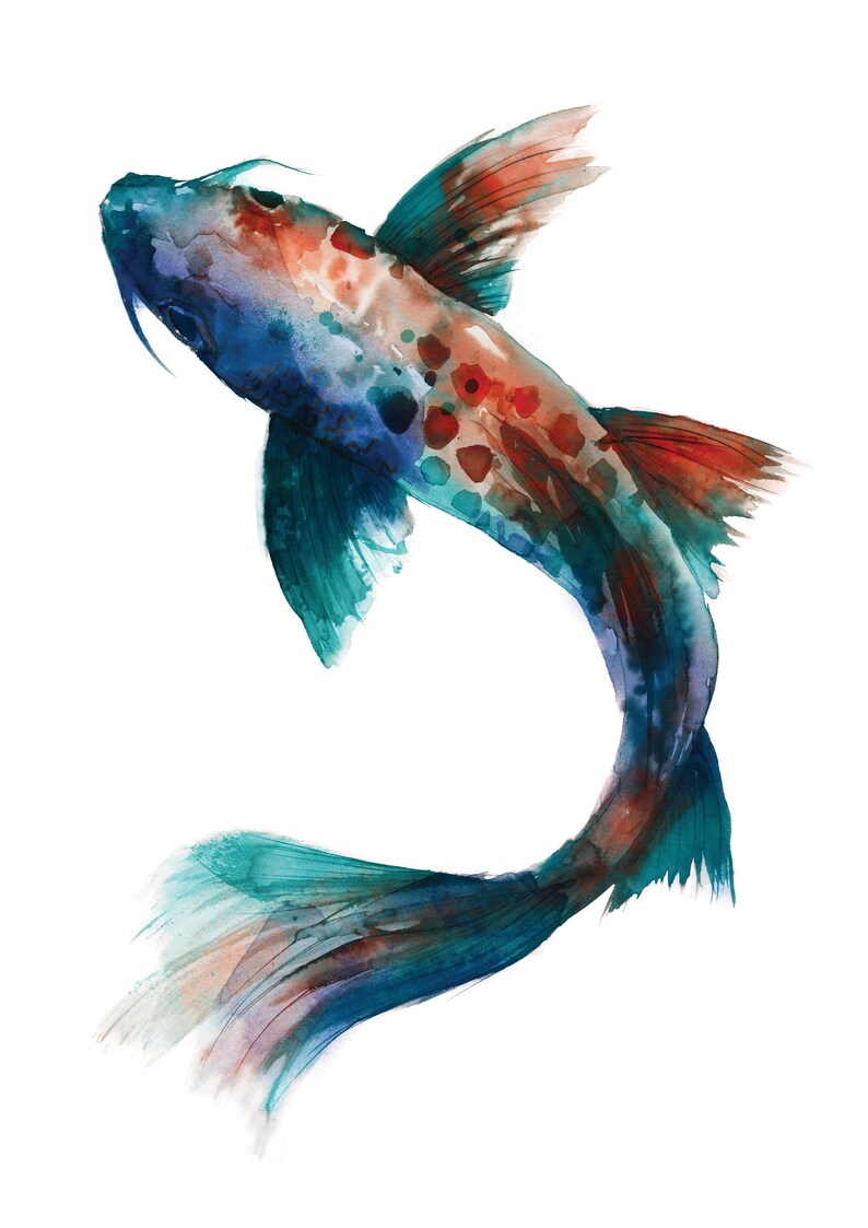 May include: A watercolor painting of a blue and red koi fish with a teal tail, swimming upwards. The fish has a spotted pattern and is painted in a realistic style.