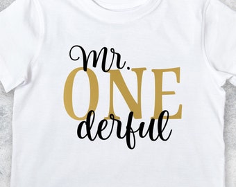 Mr ONE derful Shirt or Bodysuit, Mr Onederful First Birthday Shirt, Boy First Birthday Mr. ONEderful First Birthday Party