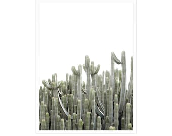CACTI - Cactus print, cactussen kunst, cactus foto, minimale foto, cactussen decor, minimalistische kunst
