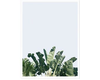 BANANA - Banana Leaf, Tropical Print, Banana Leaf Print, Wall Art, Minimal Art