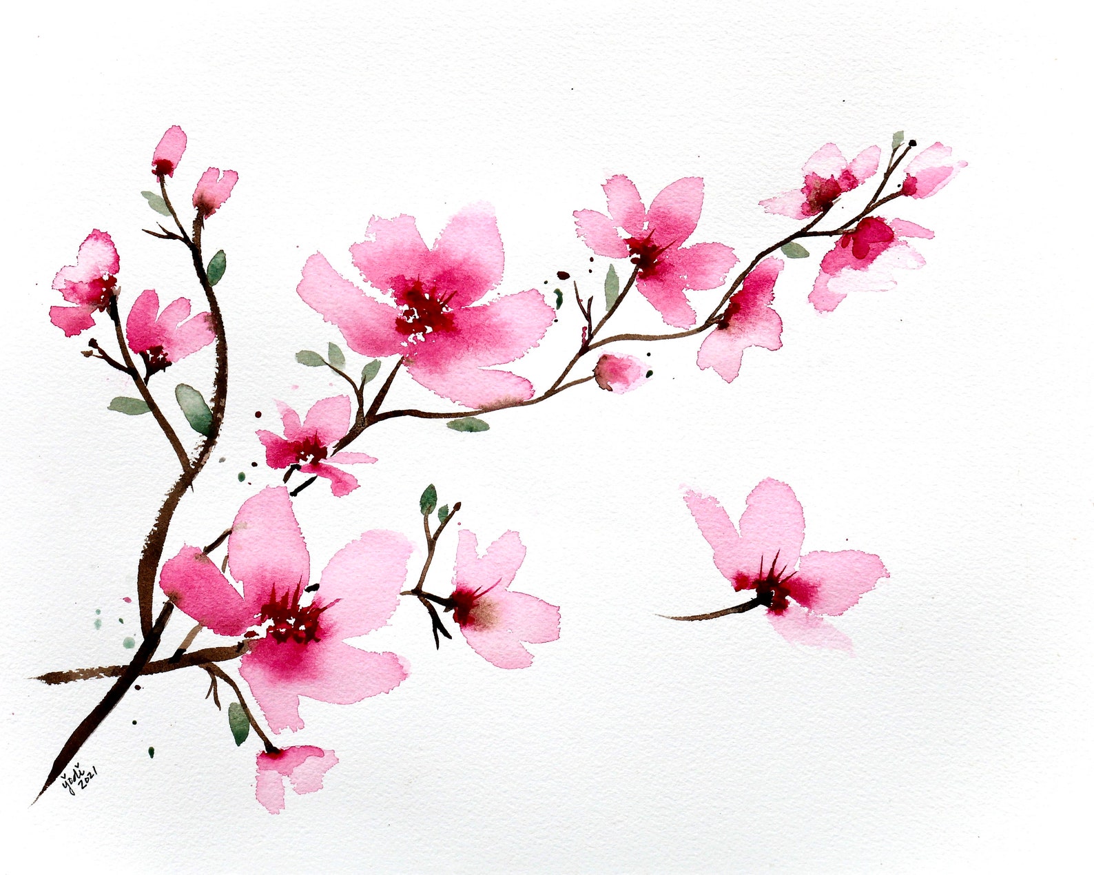 ORIGINAL Watercolor Painting of Spring Cherry Blossom Branch Etsy 日本
