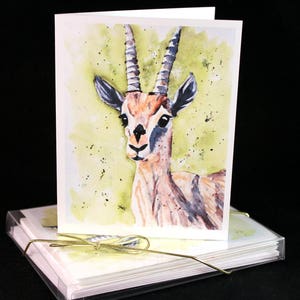Set of Original PRINT Watercolor Gazelle  Cards, Animal Note Cards/Greeting Cards (Set of Four)watercolor Cards