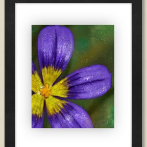 Yellow Purple Flower Digital Painting Printable Download