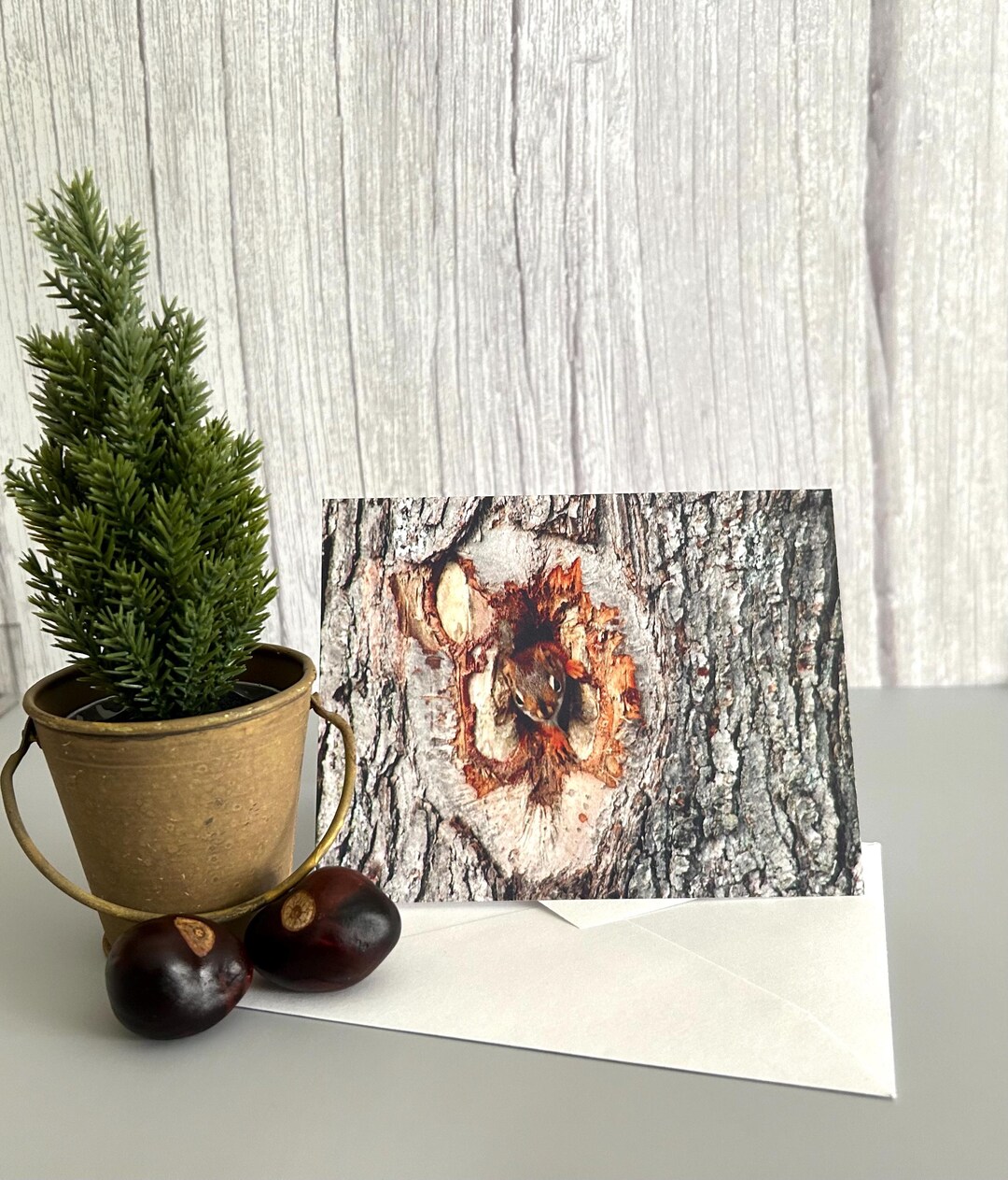 Squirrel Note Card: Woodland Peeking Design, Nature Lover Gift - Etsy