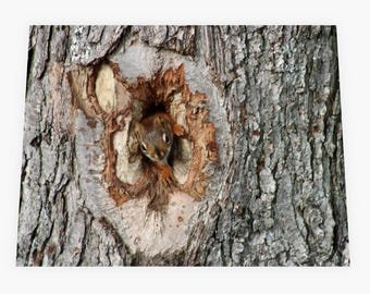 Squirrel Note Card: Woodland Peeking Design, Nature Lover Gift