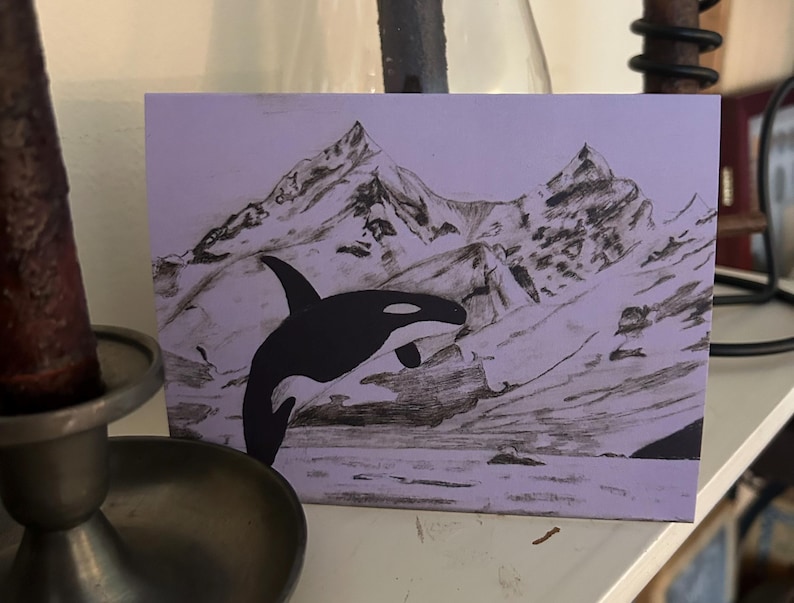 Orca Note Card: Hand-drawn Nature Art Print - All Occasion - Etsy