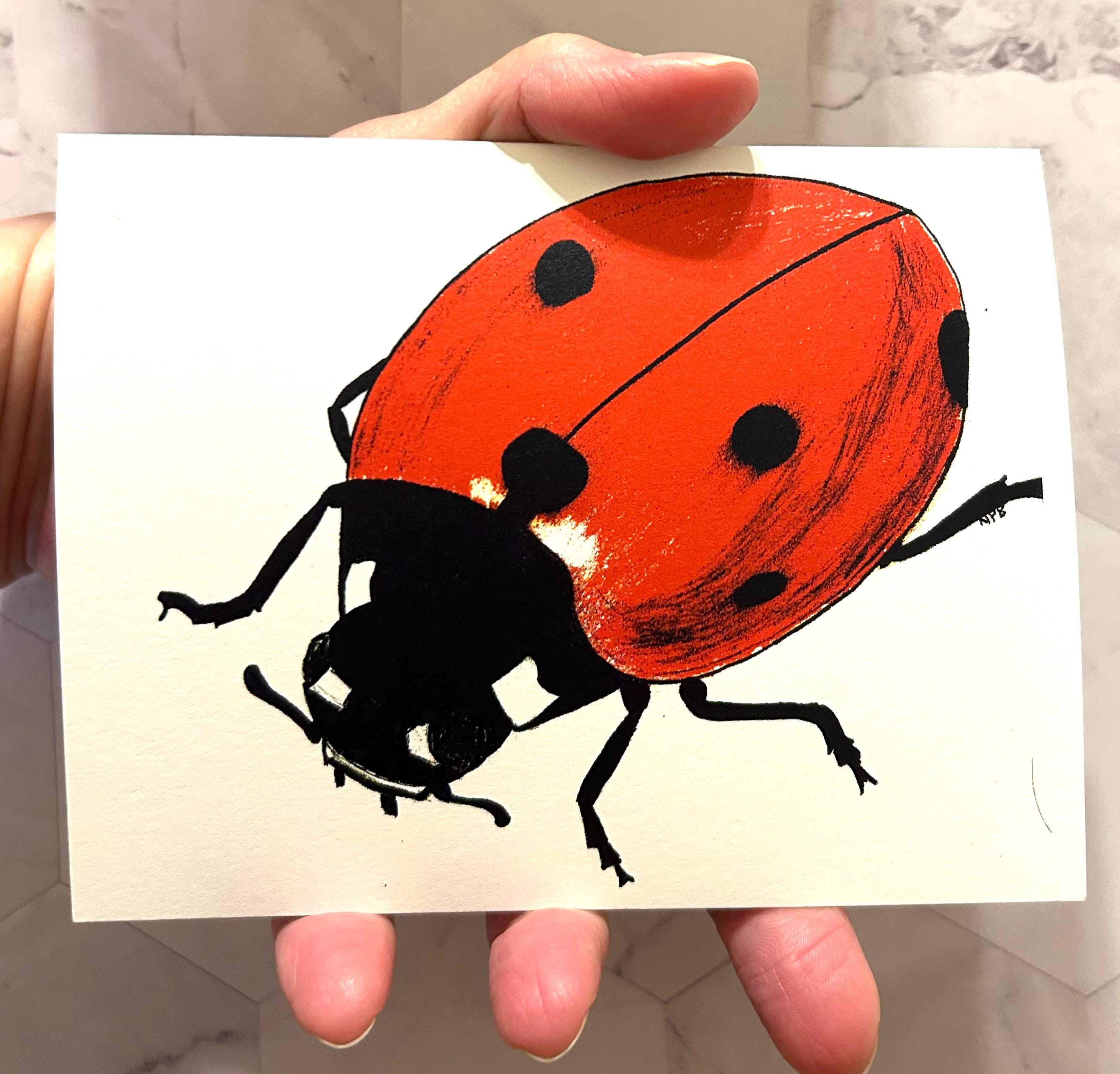 Hand-drawn Print Ladybug Card – Nature Illustration, Blank Note Card, 5 ...