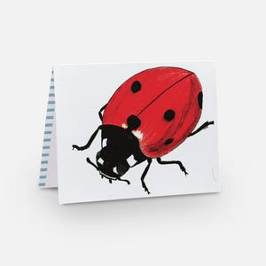 May include: A folded greeting card featuring a hand-drawn illustration of a ladybug. The ladybug has a red shell with black spots and a black head and legs. The card has a white background and a blue striped border.