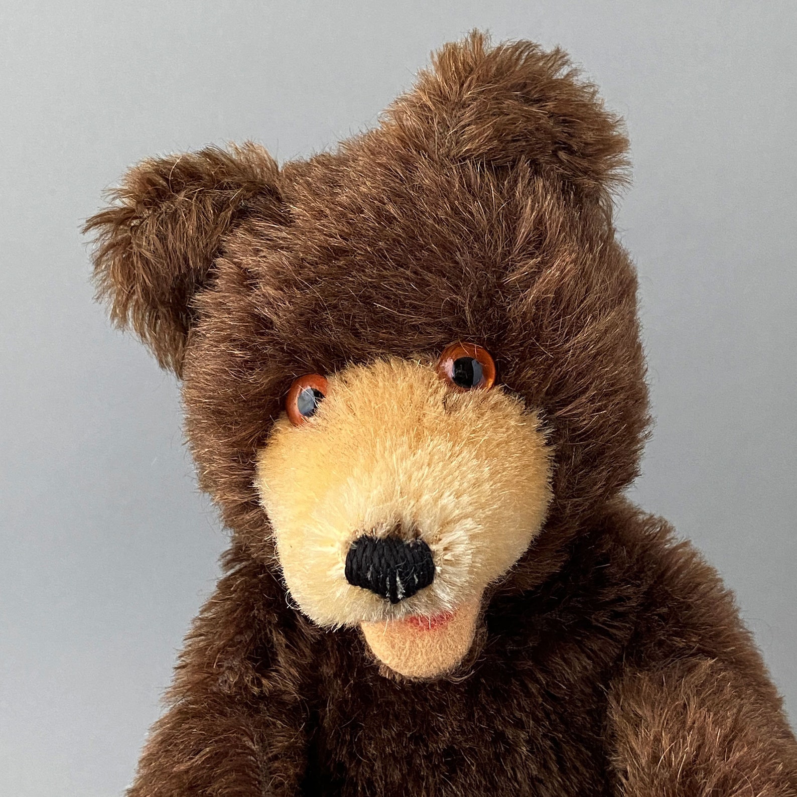 STEIFF Teddy BEAR Hand Puppet 1950s Etsy