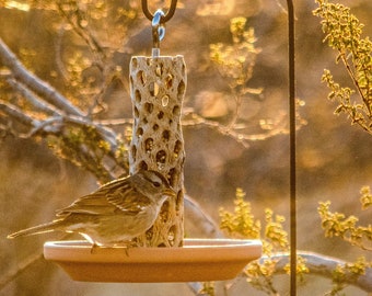 Southwestern Bird Feeder | Cholla Skeleton | Outdoor Decor | Rustic Decor | Nature Gifts | Gifts for Grandma | Cactus Gifts | Unique