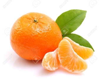 Tangor, mandarine-orange. citrus tree, patio plant 5 seeds
