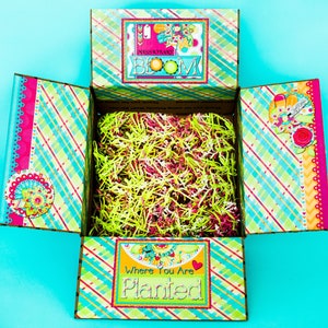 Care Package Kit - Bloom Where You Are Planted/Missionary Care Package - Sister Full Kit