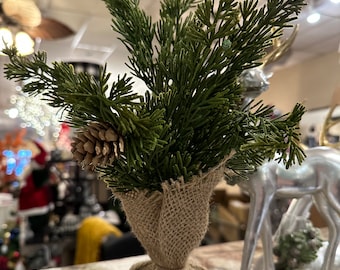 Small Pine Tree with Pinecones in a Burlap Base