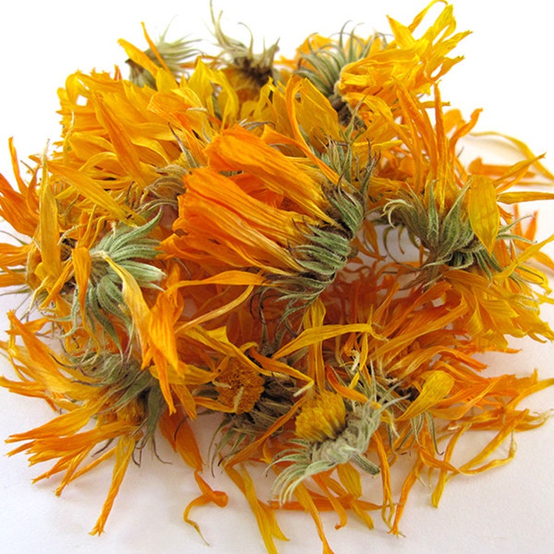 Calendula Flower Dried Herb Organic or Naturally Cultivated Etsy