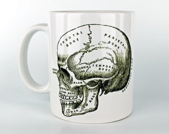 Anatomical Skull - 11 oz Coffee Mug