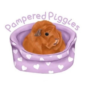 May include: A brown and white guinea pig is nestled in a purple and white heart-patterned bed. The bed is shaped like a heart and has a white border. The text "Pampered Piggies" is written in a whimsical font above the bed.