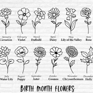 Op de afbeelding: Zwart-wit lijntekeningen van geboortebloemen, waaronder anjer, viooltje, narcis, madeliefje, lelietje-van-dalen, roos, waterlelie, klaproos, aster, kosmos, chrysant en hulst. De tekst "BIRTH MONTH FLOWERS" staat onderaan.
