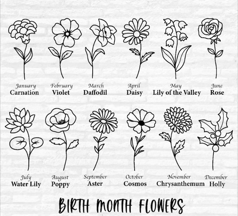 Op de afbeelding: Zwart-wit lijntekeningen van geboortebloemen, waaronder anjer, viooltje, narcis, madeliefje, lelietje-van-dalen, roos, waterlelie, klaproos, aster, kosmos, chrysant en hulst. De tekst "BIRTH MONTH FLOWERS" staat onderaan.