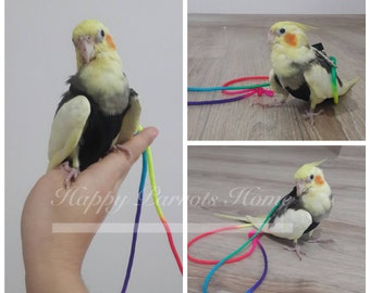 Colorful Bird Flight Suits/Diaper With 2Meters Leash For  Parakeet, Parrotlet, Budgie, Cockatiel, Lovebird,  •••HappyParrotsHome•••