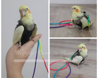 Combinaisons/couches colorées pour vol d'oiseaux avec laisse de 2 mètres pour perruche, perroquet, perruche, calopsitte, inséparable, •••HappyParrotsHome•••