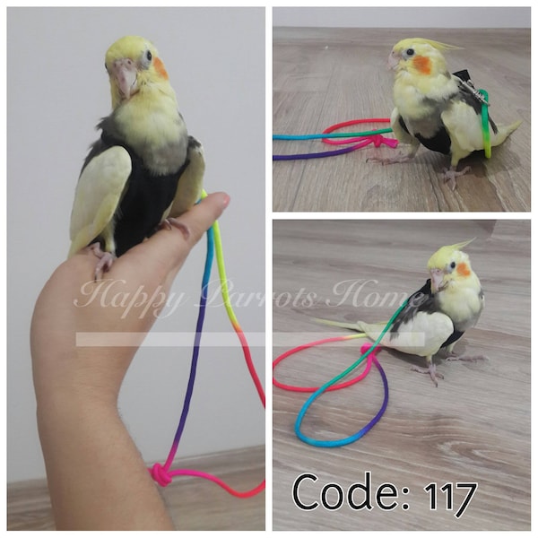 Colorful Bird Flight Suits/Diaper With 2Meters Leash For  Parakeet, Parrotlet, Budgie, Cockatiel, Lovebird,  •••HappyParrotsHome•••