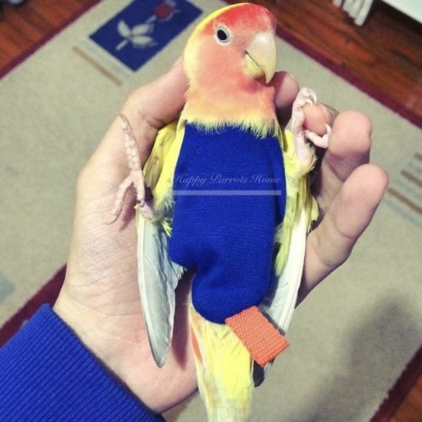 Bird Diaper Parrot Flight Suit 2Meters Leash for Forpus  Budgie Parrotlet Cockatiel  Lovebird  African Grey Cockatoo •••HappyParrotsHome•••