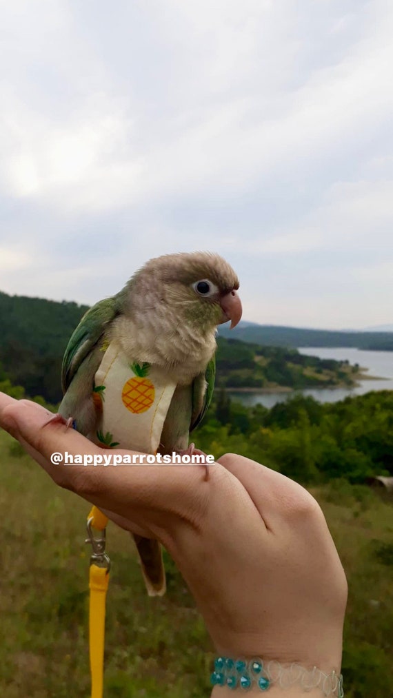 Pet Bird Clothes Bird Diaper Parrot Flight Suit Bird Clothes