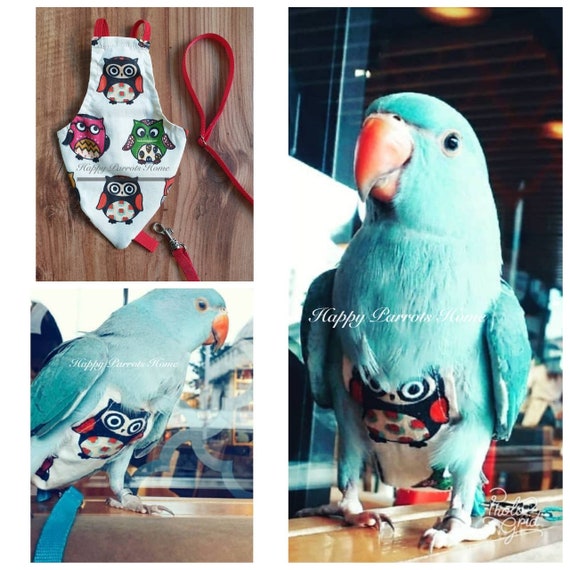 Owl Bird Diaper Parrot Flight Suit 2meters Leash Cockatiel Lovebird Indian Ringneck African Grey Cockatoo happyparrotshome Etsy UK