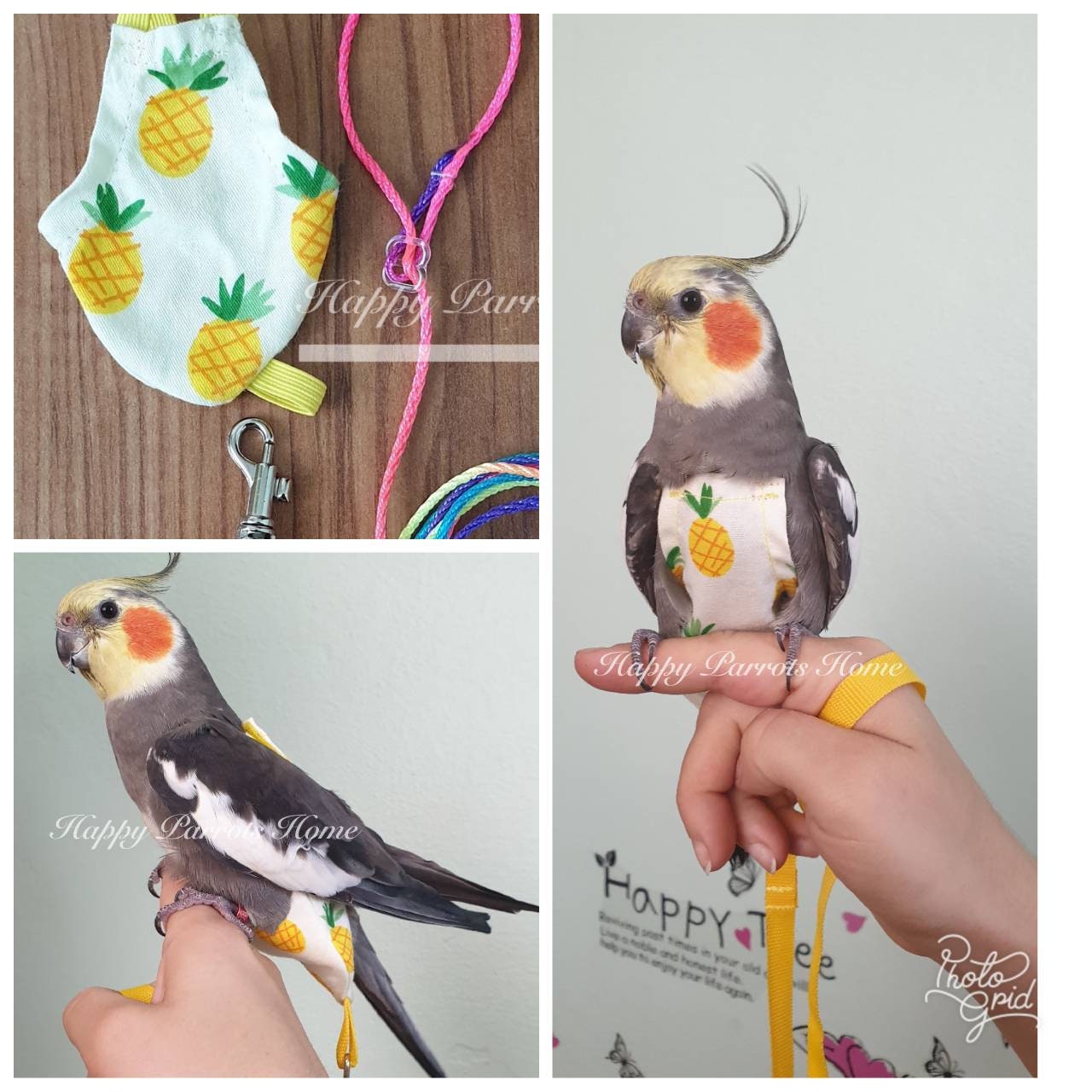 Cockatiel Harness Etsy UK