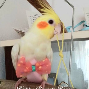 Pannolino Per Pappagalli E Uccelli - Tuta Volo Lavabile Con Fodera Impermeabile | Fangz - Foto 8