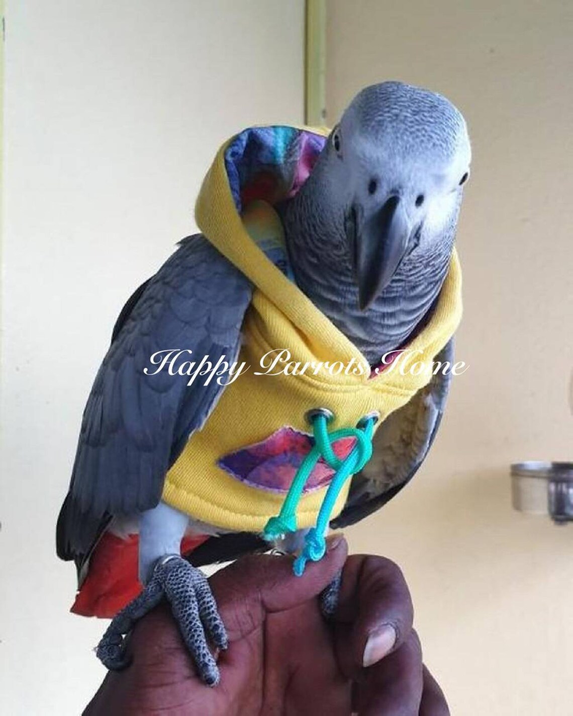 Yellow// Hoodie Birdie Pet Clothing Parrot Bird Hoodie for - Etsy