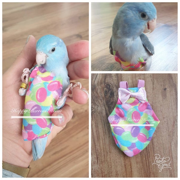 Tutti Frutti Parrot Bird Diaper Flight Suit With+2Meters Leash for Forpus  Budgie Parrotlet Cockatiel  Lovebird •••HappyParrotsHome•••