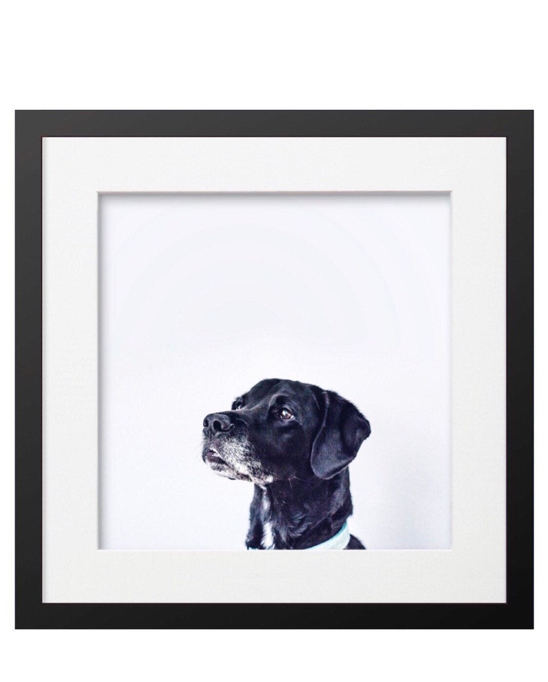 Printable Wall Art with an adorable Dog.
