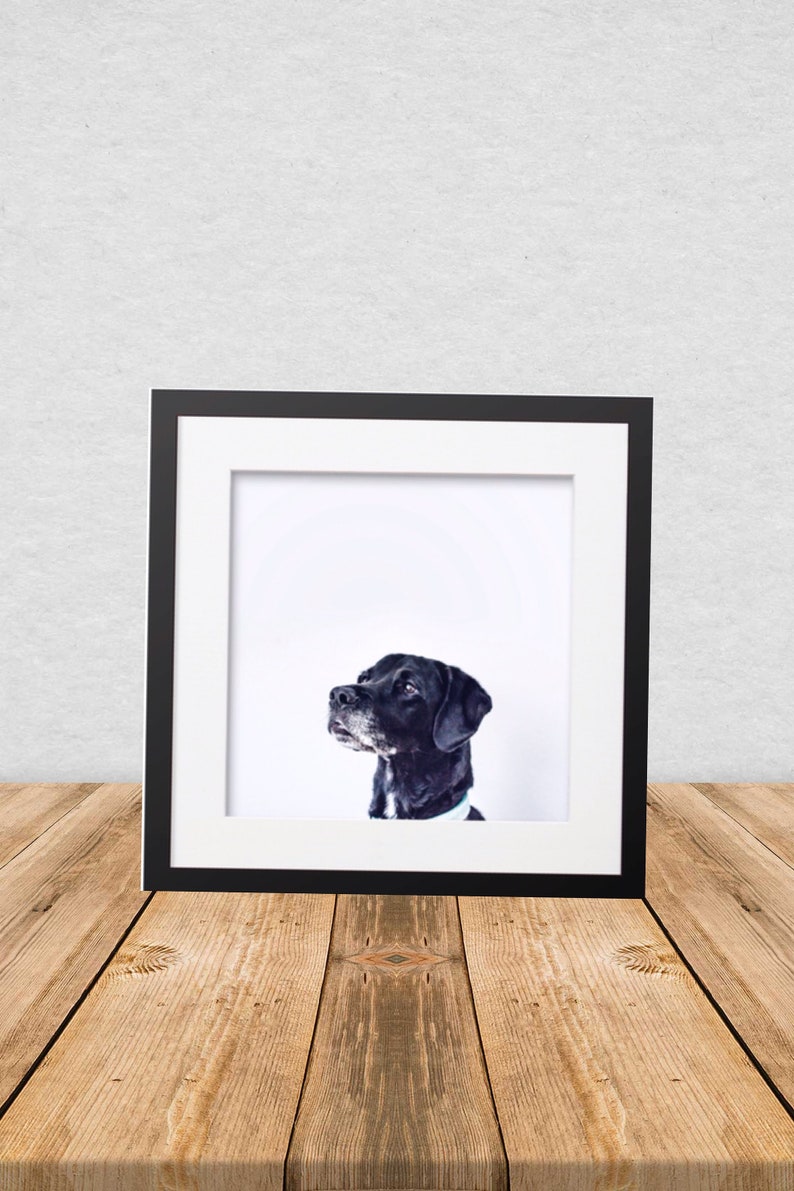 Printable Wall Art with an adorable Dog.