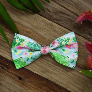 Tropical bow tie and suspenders. Tropical necktie. Hawaiian necktie. Hawaiian bow tie and handkerchief. Tropical print. Hawaii wedding