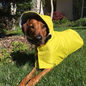 Doggie Rain Coats