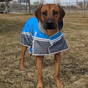 Winter coats