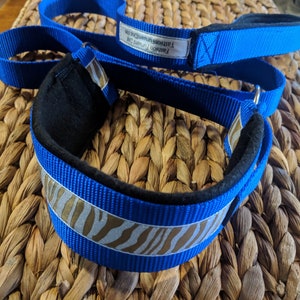 Puede incluir: Collar de perro azul con forro acolchado negro y estampado de cebra blanco y marrón. El collar está etiquetado como "Fashion Furward Dog Fashionably Furward Dog"